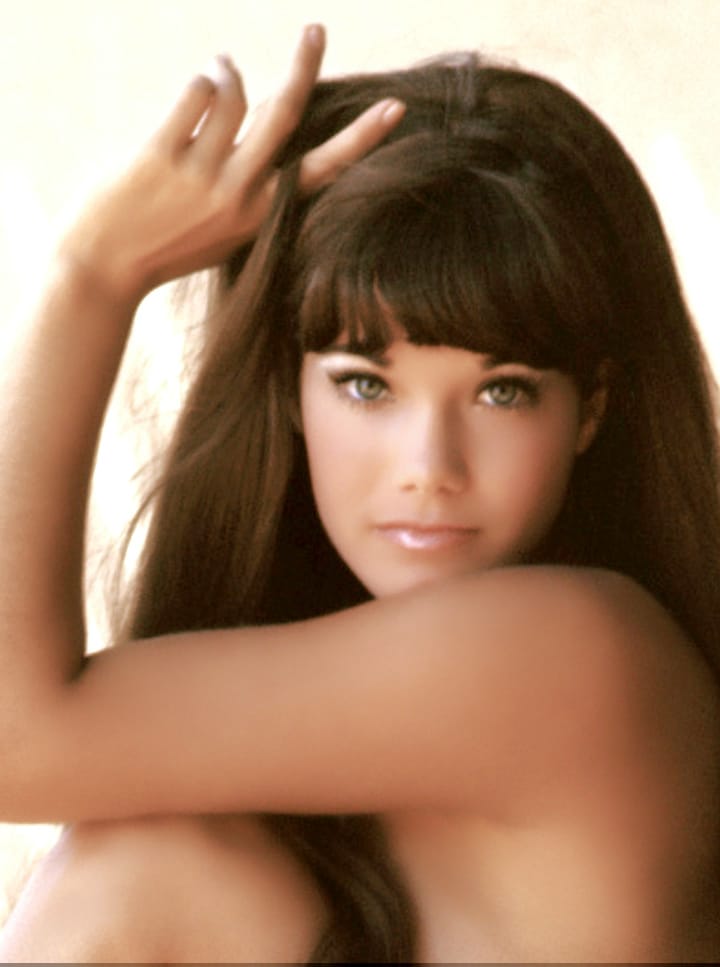 Barbi benton playboy pics